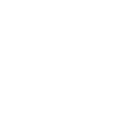 COCKTAILS PARTY